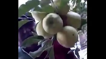 Reproduzir Doce e delicioso mais do que frutas